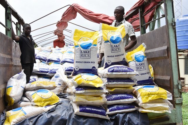 Food Security: Lagos Spends N1.04BN On Lake Rice Subsidy In Three Years