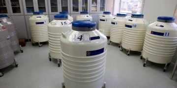 Sperm Too Cheap In Nigeria—Desperate Men