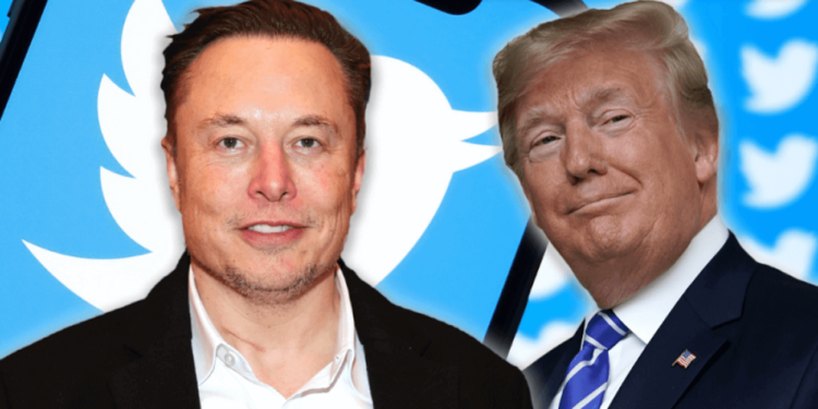 Elon Musk: Trump’s Twitter Return, Not Too Soon
