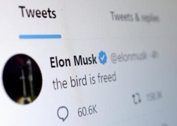 Elon Musk Twitter Verification