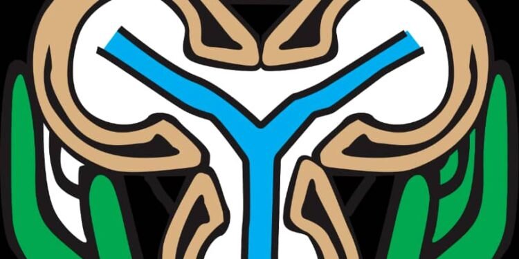 Naira Devaluation: It’s Fake News—CBN