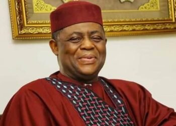 Fani-Kayode Hails Tinubu Over Removal of Security Chiefs