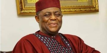 Fani-Kayode Hails Tinubu Over Removal of Security Chiefs