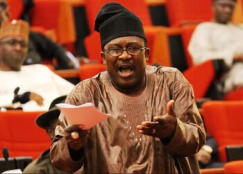 Smart Adeyemi: Legislative experience a major advantage for Tinubu and Shettima