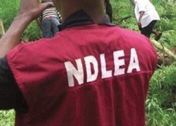 NDLEA Raids Skuchies Factory, Arrests Church Officials And More In Ogun
