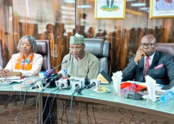 INEC: Thugs Deployed By Politicians Made Election Difficult