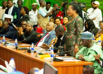 Dolapo Fasawe Former LASEPA Boss, Gets Federal Appointment As FCT Secretary