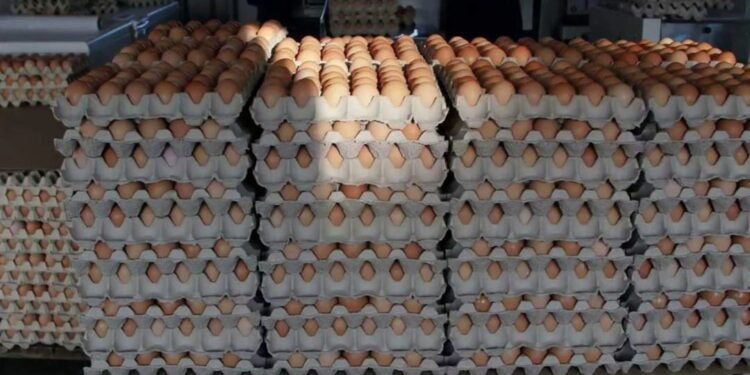 Price Of Eggs To Hit N10,000 Per Crate – Poultry Farmers