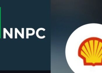 NNPC, SPDC Donate US$1million To Borno Flood Victims