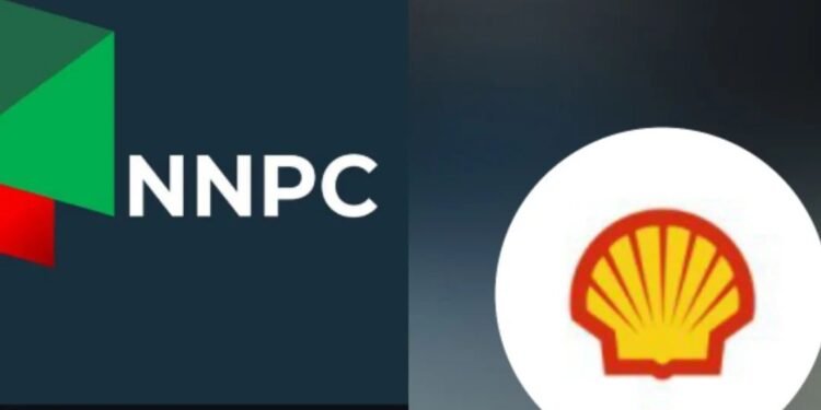 NNPC, SPDC Donate US$1million To Borno Flood Victims