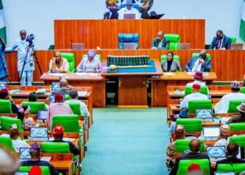 House Of Reps Halts Abuja Tinted Glass Ban Enforcement