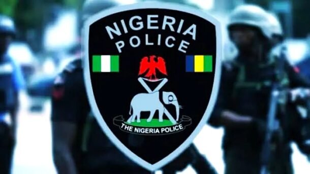 Nigeria Police Force (NPF) Warns Against Cyberbullying, Sparking Legal Debate