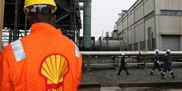 Shell, Bayelsa State Govt Launch Plan To Protect Taylor Creek Forest Reserve