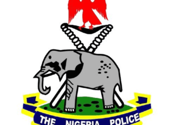 Nigeria Police Force Condemns Violence in Osun, Deploys Tactical Squads for Security