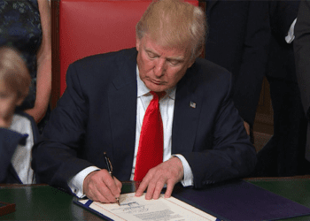 Fear of Deportation: Nigerian Illegal Immigrants In The US Go Into Hiding As Trump’s Crackdown Intensifies