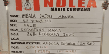 NDLEA Arrests Angolan Businessman, Others in Major Drug Trafficking Bust Across Nigeria