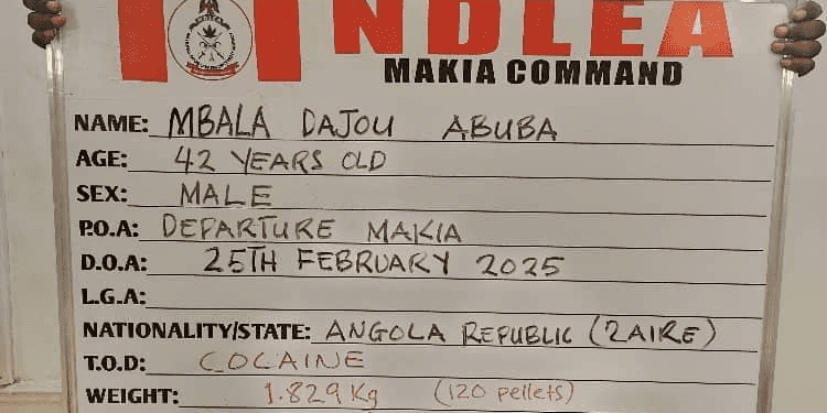 NDLEA Arrests Angolan Businessman, Others in Major Drug Trafficking Bust Across Nigeria