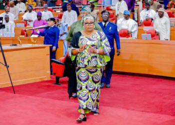 Mojisola Meranda Re-Elected as Deputy Speaker of Lagos Assembly After Resignation