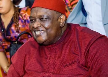 How Iwuanyanwu’s Will Barred Beautiful Widow, Frances  From Remarrying