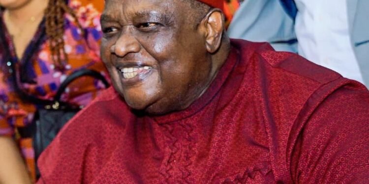 How Iwuanyanwu’s Will Barred Beautiful Widow, Frances From Remarrying