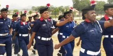 NSCDC, Immigration, Others: FG Postpones Recruitment, Changes Portal