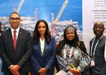 Shell outlines steps to Nigeria’s sustainable energy future, pledges support