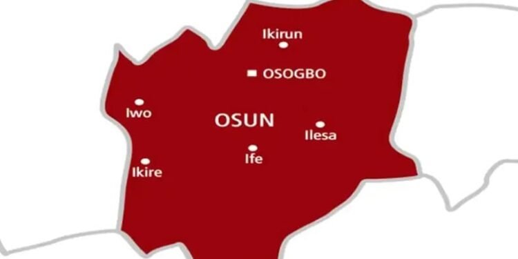 Osun Police Arrest Suspected Cultist with Locally Fabricated Guns