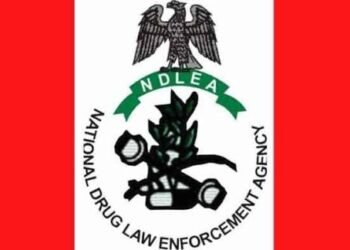 NDLEA Destroys Over 125 Tonnes of Cannabis, Arrests Three Suspects in Ekiti