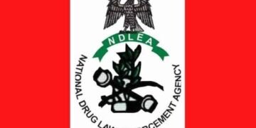 NDLEA Destroys Over 125 Tonnes of Cannabis, Arrests Three Suspects in Ekiti