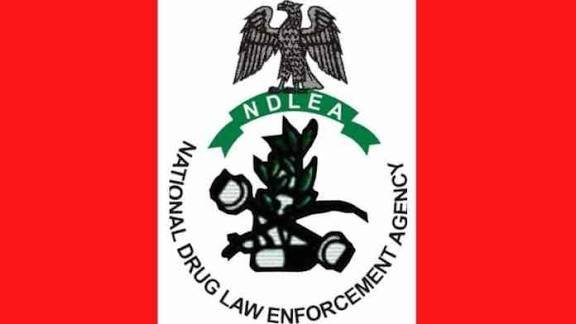 NDLEA Destroys Over 125 Tonnes of Cannabis, Arrests Three Suspects in Ekiti