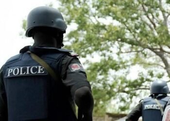 Enugu Police Detain Five Armed Robbery Suspects