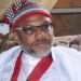 Court Sets November 20 for Judgment in Nnamdi Kanu’s Terrorism Trial