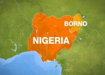 Suspected Boko Haram Abduct 12 Female Farmers In Borno