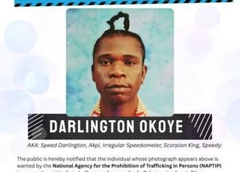 NAPTIP Confirms Speed Darlington on Watchlist, Investigation to Resume Upon Return to Nigeria