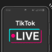 TikTok Restricts Late-Night LIVE Access In Nigeria Amid Ongoing Safety Probe