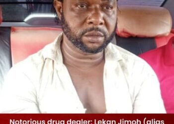 NDLEA Nabs Wanted Drug Kingpin 12 Years After Murder of Three Officers