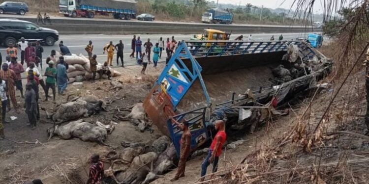Six Dead, 23 Injured In Lagos–Ibadan Expressway Truck Crash