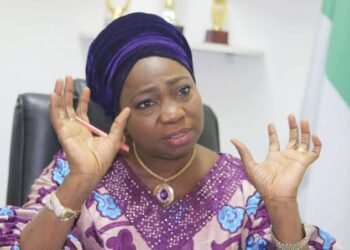 Dabiri-Erewa Condemns Latest Killing of a Nigerian In South Africa, Demands Justice
