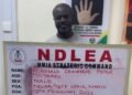 NDLEA Arrests Notorious Drug Kingpin After 13 Years on the Run