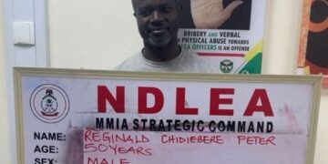 NDLEA Arrests Notorious Drug Kingpin After 13 Years on the Run