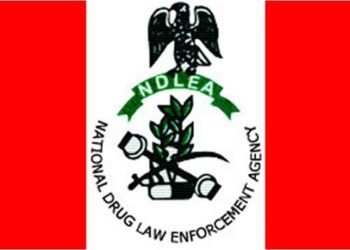 NDLEA Arrests 56 Suspected Drug Traffickers In Edo