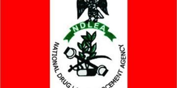 NDLEA Arrests 56 Suspected Drug Traffickers In Edo