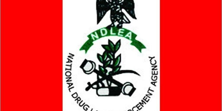 NDLEA Arrests 56 Suspected Drug Traffickers In Edo