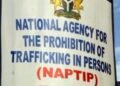 Four Minors Rescued as NAPTIP Arrests Traffickers in Nasarawa
