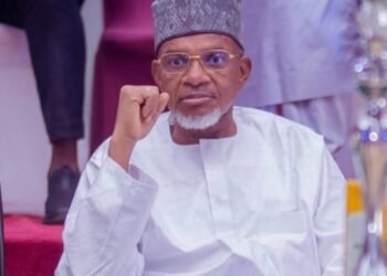 Kebbi Assembly Speaker Dies In Egypt