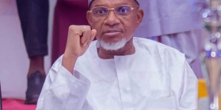 Kebbi Assembly Speaker Dies In Egypt