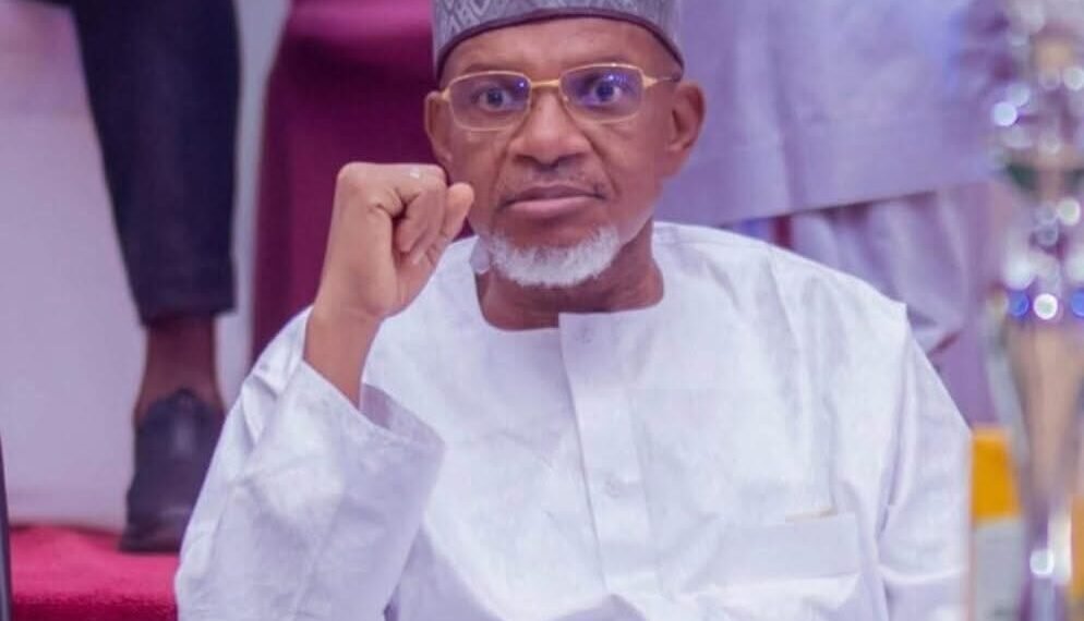 Kebbi Assembly Speaker Dies In Egypt