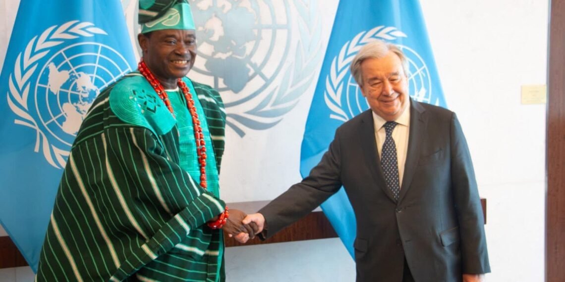 Ibrahim Assumes Role As Nigeria’s Permanent Representative To UN