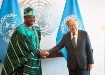 Ibrahim Assumes Role As Nigeria’s Permanent Representative To UN