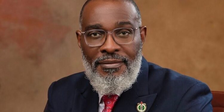 Tinubu Names Retired General Adeyinka Famadewa As Homeland Security Adviser